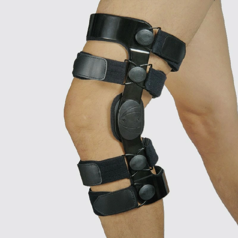 Ligament Brace Ligament Brace