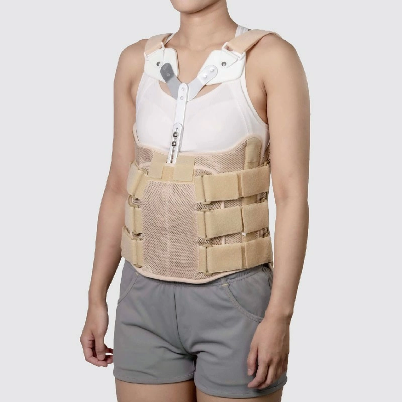Rib/Back Brace